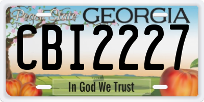 GA license plate CBI2227