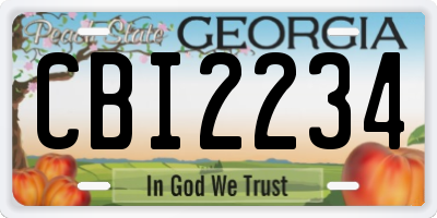 GA license plate CBI2234