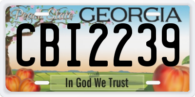 GA license plate CBI2239