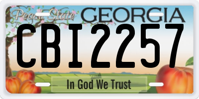 GA license plate CBI2257