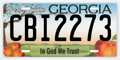 GA license plate CBI2273