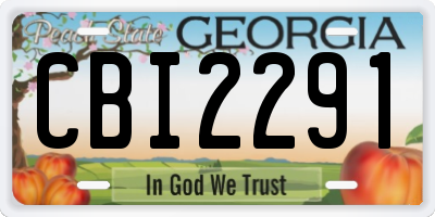 GA license plate CBI2291