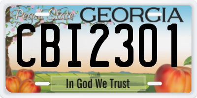 GA license plate CBI2301