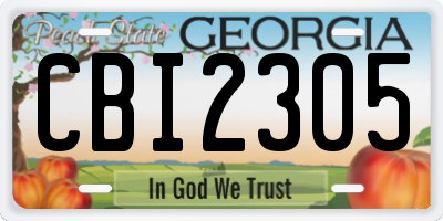 GA license plate CBI2305