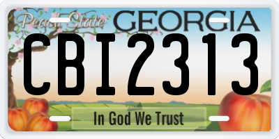 GA license plate CBI2313