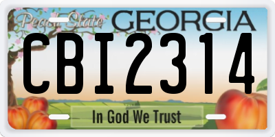 GA license plate CBI2314