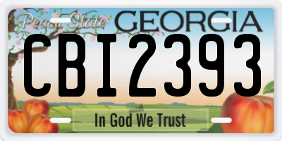 GA license plate CBI2393