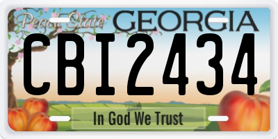 GA license plate CBI2434