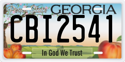 GA license plate CBI2541
