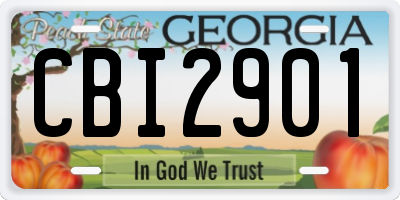 GA license plate CBI2901