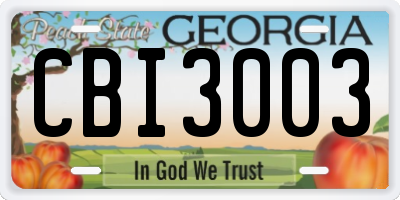 GA license plate CBI3003