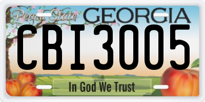 GA license plate CBI3005