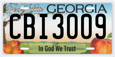 GA license plate CBI3009