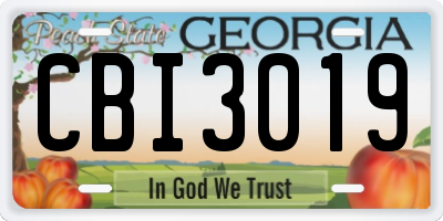 GA license plate CBI3019