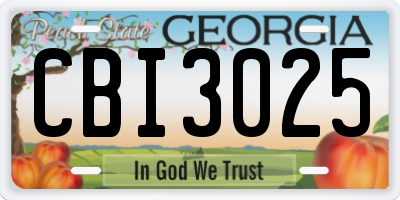 GA license plate CBI3025