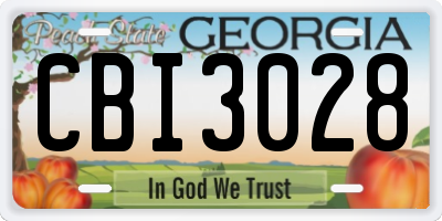 GA license plate CBI3028