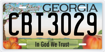 GA license plate CBI3029
