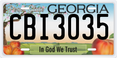 GA license plate CBI3035