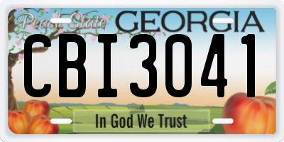 GA license plate CBI3041