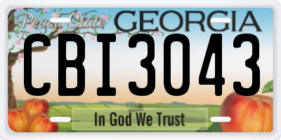 GA license plate CBI3043
