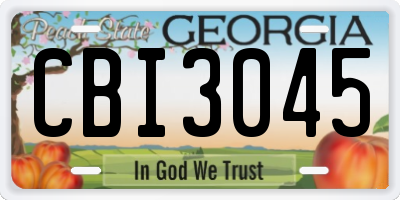 GA license plate CBI3045