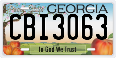 GA license plate CBI3063