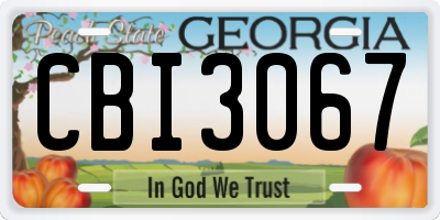 GA license plate CBI3067