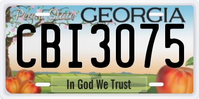 GA license plate CBI3075