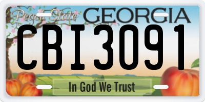GA license plate CBI3091