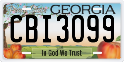 GA license plate CBI3099