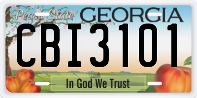 GA license plate CBI3101