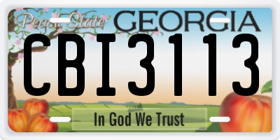 GA license plate CBI3113