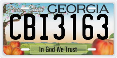 GA license plate CBI3163
