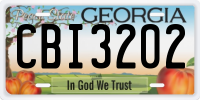 GA license plate CBI3202