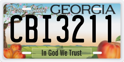 GA license plate CBI3211