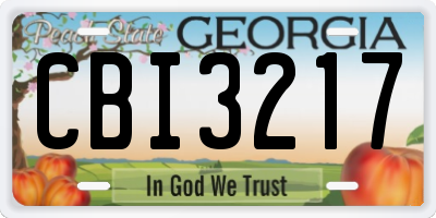 GA license plate CBI3217
