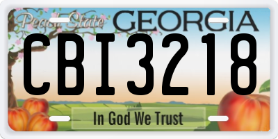GA license plate CBI3218