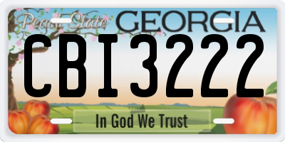 GA license plate CBI3222