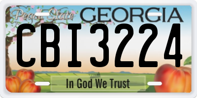 GA license plate CBI3224
