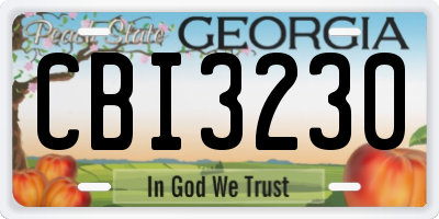 GA license plate CBI3230
