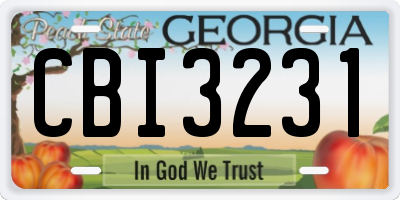 GA license plate CBI3231