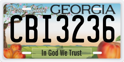 GA license plate CBI3236