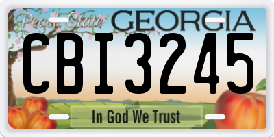 GA license plate CBI3245