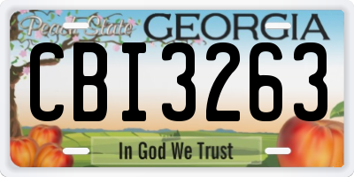 GA license plate CBI3263