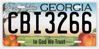 GA license plate CBI3266