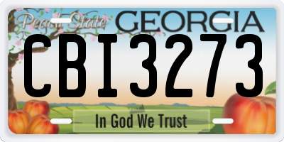GA license plate CBI3273