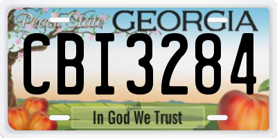 GA license plate CBI3284