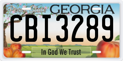GA license plate CBI3289