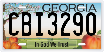 GA license plate CBI3290