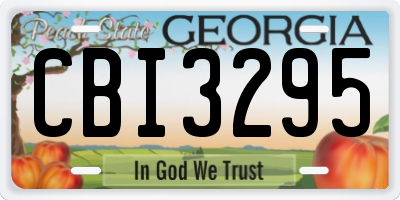 GA license plate CBI3295
